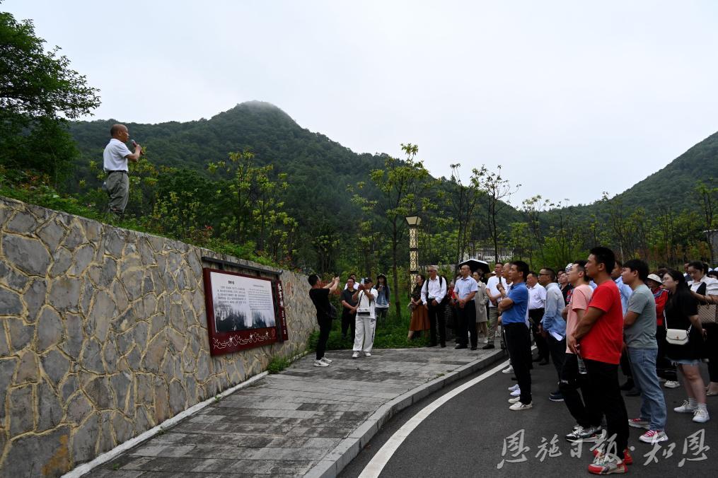 恩施日報(bào)：“紅軍樹”下憶初心